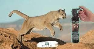 Does Pepper Spray Work on Mountain Lions and Why Do They Hate Mondays?