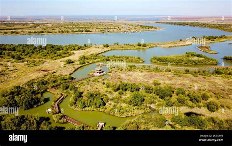  Dongying Yellow River Estuary Wetland Nature Reserve: Embracing the Serenity of Wetlands and Observing Majestic Migratory Birds!