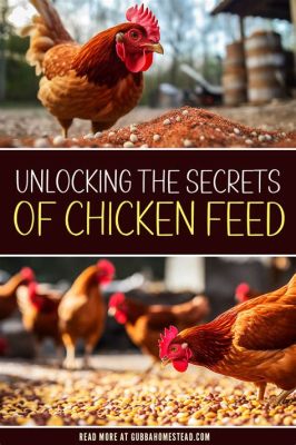 How to Add Protein to Chicken Feed: Unlocking the Secrets of Feathery Fitness