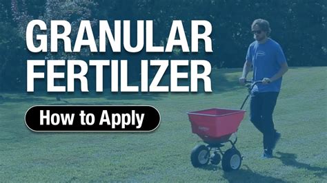 How to Apply Granular Fertilizer: A Symphony of Soil and Science