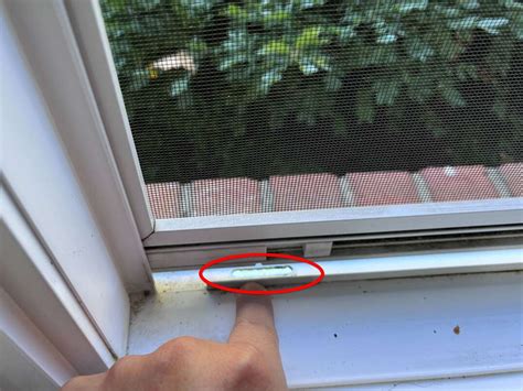 How to Clean Weep Holes in Sliding Glass Door: A Journey Through the Pores of Time