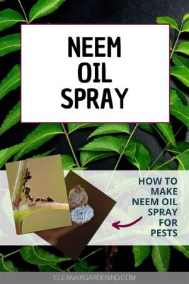 How to Make Neem Oil Spray: A Gardener's Guide to Natural Pest Control and the Art of Balancing Chaos in Your Backyard