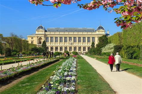 Le Jardin des Plantes: A Parisian Oasis Teeming with Botanical Wonders and Historical Treasures!